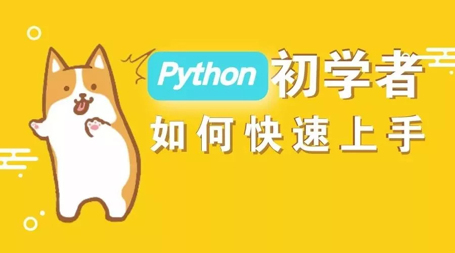  大家都在学的 Python，可以用来干什么？ 